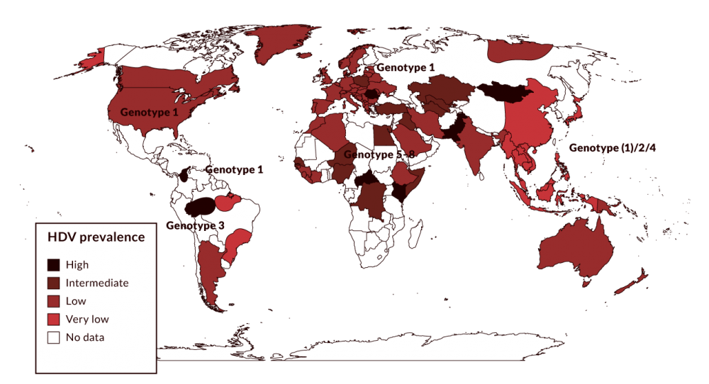 HDV prevalence 2018 Hepatology