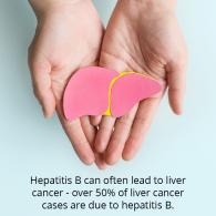 Intro To Hep B Liver Cancer Slide 39