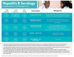 Serology Interpretation4