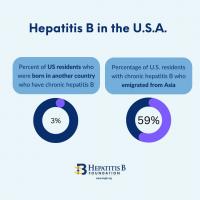 INSTA Intro to Hep B 7