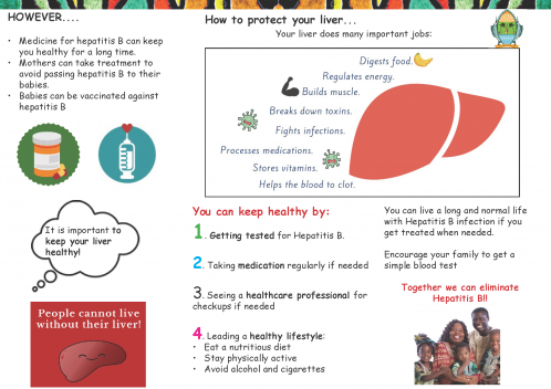 221214 HBV Information Leaflet English4 Page 2