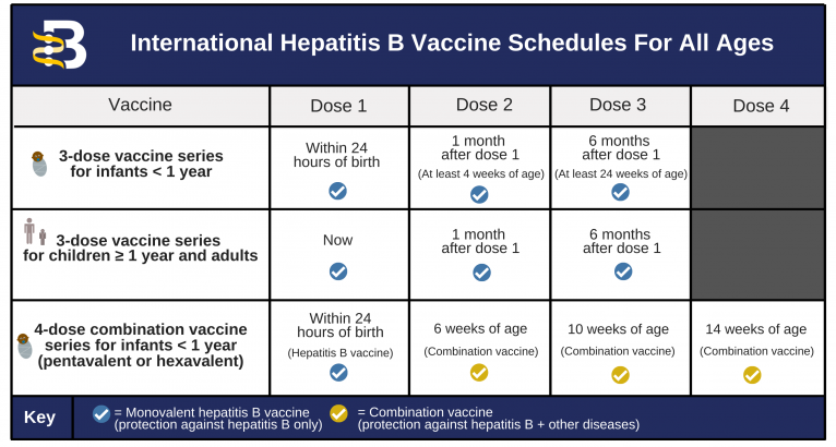 International Vaccine Schedules for All Ages High Res for Website