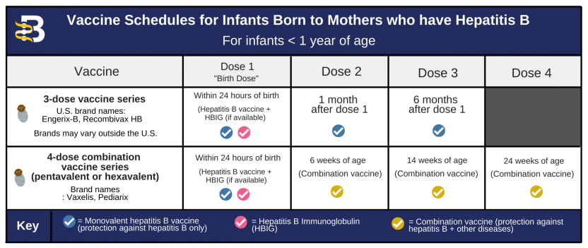 VACCINE SCHEDULE FOR INFANTS HIGH RES FOR WEBSITE2